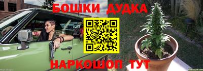 индика Нягань