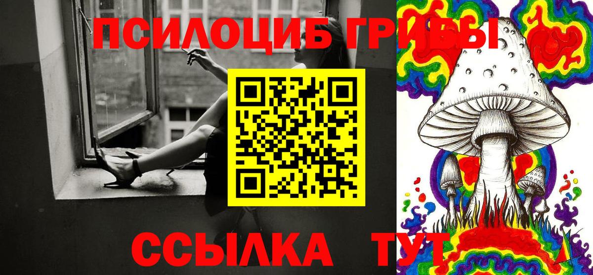 Псилоцибиновые грибы Psilocybe Скопин